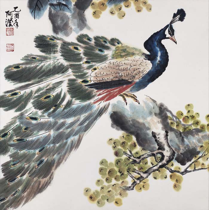 写意孔雀66